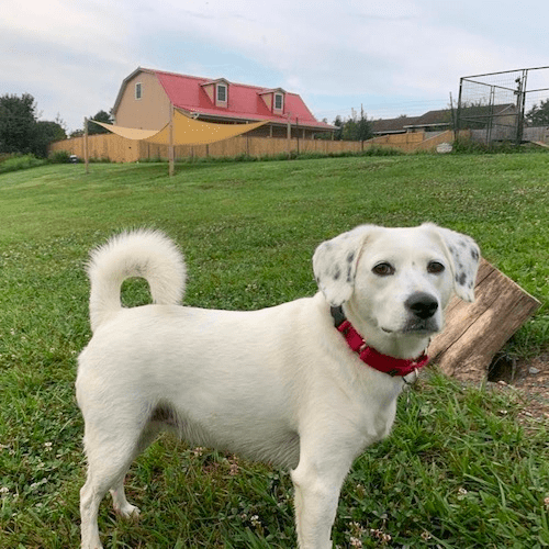 DaisyBerg