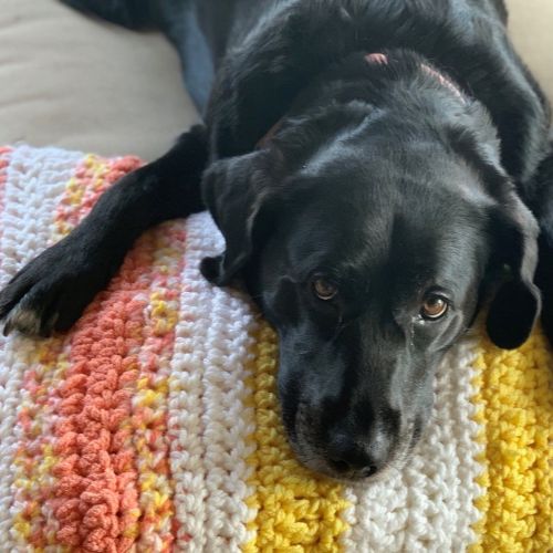 Riley