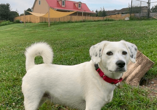 DaisyBerg